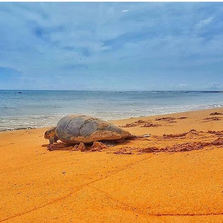 Pousada Costa Dourada Баїя-Формоза Екстер'єр фото